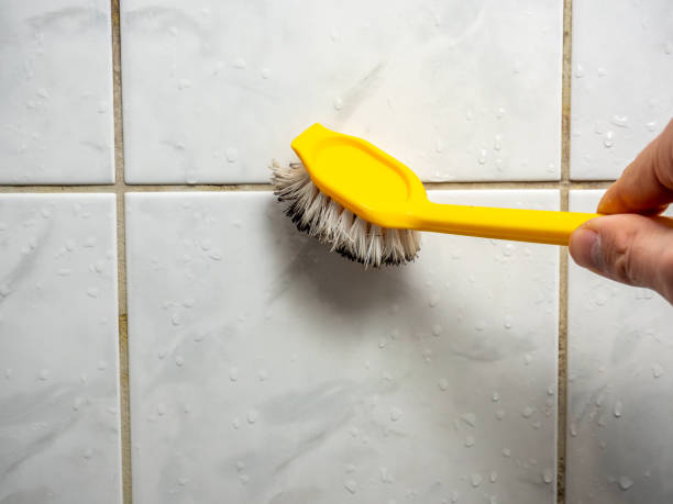 Office Mold Removal Services in Cayuga, IN