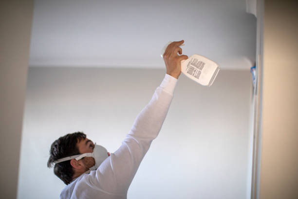 Best Office Mold Removal Services  in Cayuga, IN