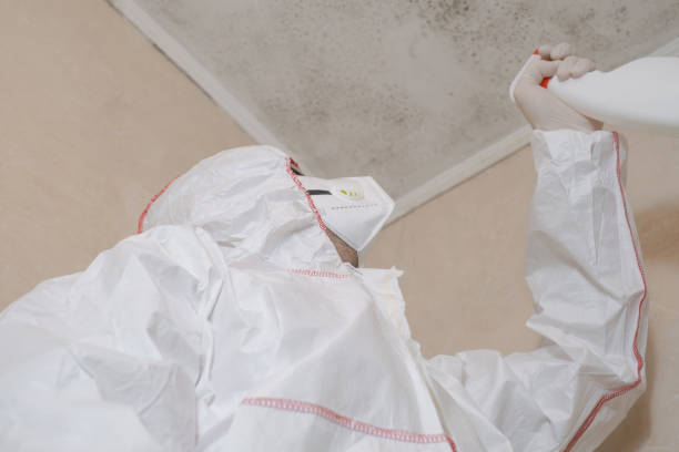 Best Local Mold Removal Service  in Cayuga, IN