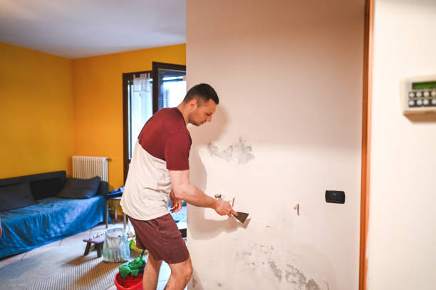 Best Fast Mold Removal  in Cayuga, IN