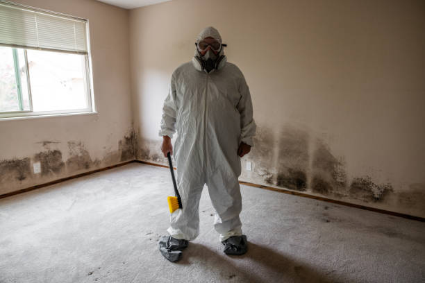 Best Mold Inspection  in Cayuga, IN